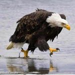 Eric Andreasen - @eglptch - Instagram