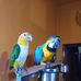 Erik Andreoli - Facebook