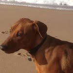 Eric Andrieu - @ericou4141 - Instagram