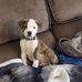 Eric Angell - Facebook