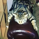 Eric_Angle_106 - @eric_angle_106 - Instagram