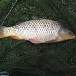 Eric Lnkhr - @eric_angler - Instagram