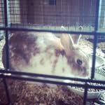 henry antigo - @ericantigo7979 - Instagram