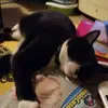 Anzalone Federica - @anzalonefederica - TikTok