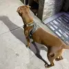 ericapolinar1 - @ericapolinar1 - TikTok