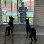 Eric Aragon - @aragon__eric - Instagram