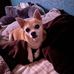 Eric Aranda - Facebook