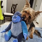 Eric-damian Aravena - @ericdamianaravena - Instagram