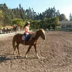 Eric Hernández Aravena - @erichernandezaravena - Instagram