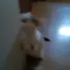 ericarayaa - @ericarayaa0 - TikTok