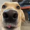 Deez nutz - @eric.arballo - TikTok