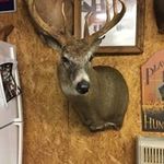 Eric Arens - @eric.arens1 - Instagram