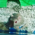 Eric ariza carpio - @princeso33333 - Instagram
