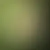 eric arman - @eric.arman7 - TikTok
