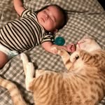 Eric armenta - @armenta.eric - Instagram