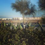Eric Armenta - @eric._.armenta - Instagram
