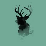 eric wade armfield - @armfieldericwade - Instagram