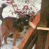 Eric - @eric_.armstrong - TikTok
