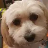Eric Arnaud - @eric.arnaud8 - TikTok