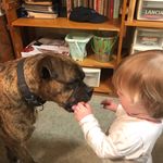 Eric Arsenault - @buzzzzer_99 - Instagram