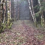 Eric Arwood - @eric.arwood - Instagram
