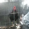 eric de orta arzate - @erikdeortaarzate7 - TikTok