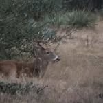 Eric Aschenbeck - @eric_aschenbeck - Instagram