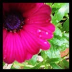 @ericaschenckymailcom - Instagram
