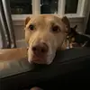ericasher3 - @ericasher3 - TikTok