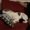 Eric_Ashley5150 - @eric_ashley5150 - TikTok