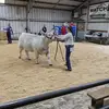 Eric Ashley - @eric.ashley8 - TikTok