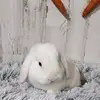 Eric/Ashley - @bachsbunnies - TikTok
