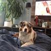 Eric Asselin - @ericasselin0 - TikTok