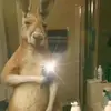 Eric Casarrubias Astudillo - @eric.casarrubias - TikTok