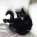 Eric Aitchison - Facebook