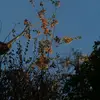 erich_au. - @erich_au1 - TikTok