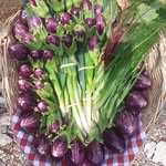 Eric Aubin - @la_maison_du_petit_legume - Instagram