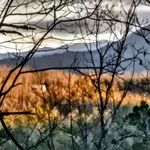 Eric Auciello - @trillium_ridge - Instagram