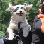 Eric Aucoin - @eric.aucoin.67 - Instagram