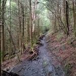 Eric - @aucoineric - Instagram