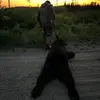 Eric Audet - @eric.audet5 - TikTok