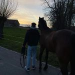 Eric - @ericauerers - Instagram
