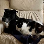 Eric Auer - @eric.auer.57 - Instagram