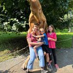 Éric Auger - @averip - Instagram
