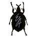 Eric J. Auger Visual Artist - Facebook