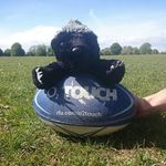 Eric the Honey Badger 😎 - @uobtouchmascoteric - Instagram