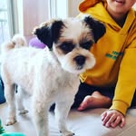 백정훈 - @eric_baek_1 - Instagram