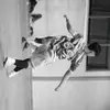 erickmubaraq - @erickbaik1 - TikTok