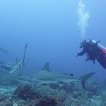 Eric bain - @ebain52 - Instagram