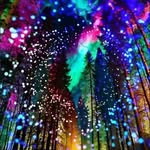ERICBAKER - @machiavel_baker - Instagram